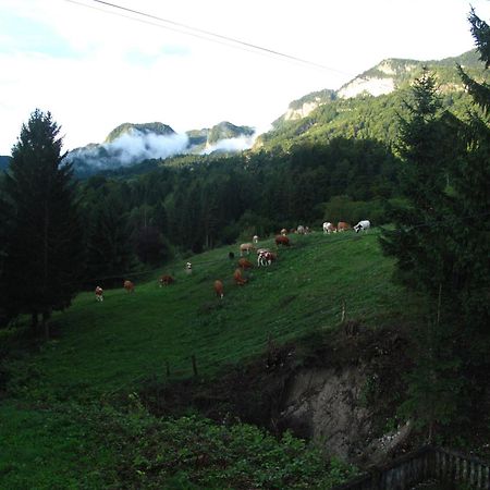 Holiday Home Bela Bohinjska Bela Ngoại thất bức ảnh