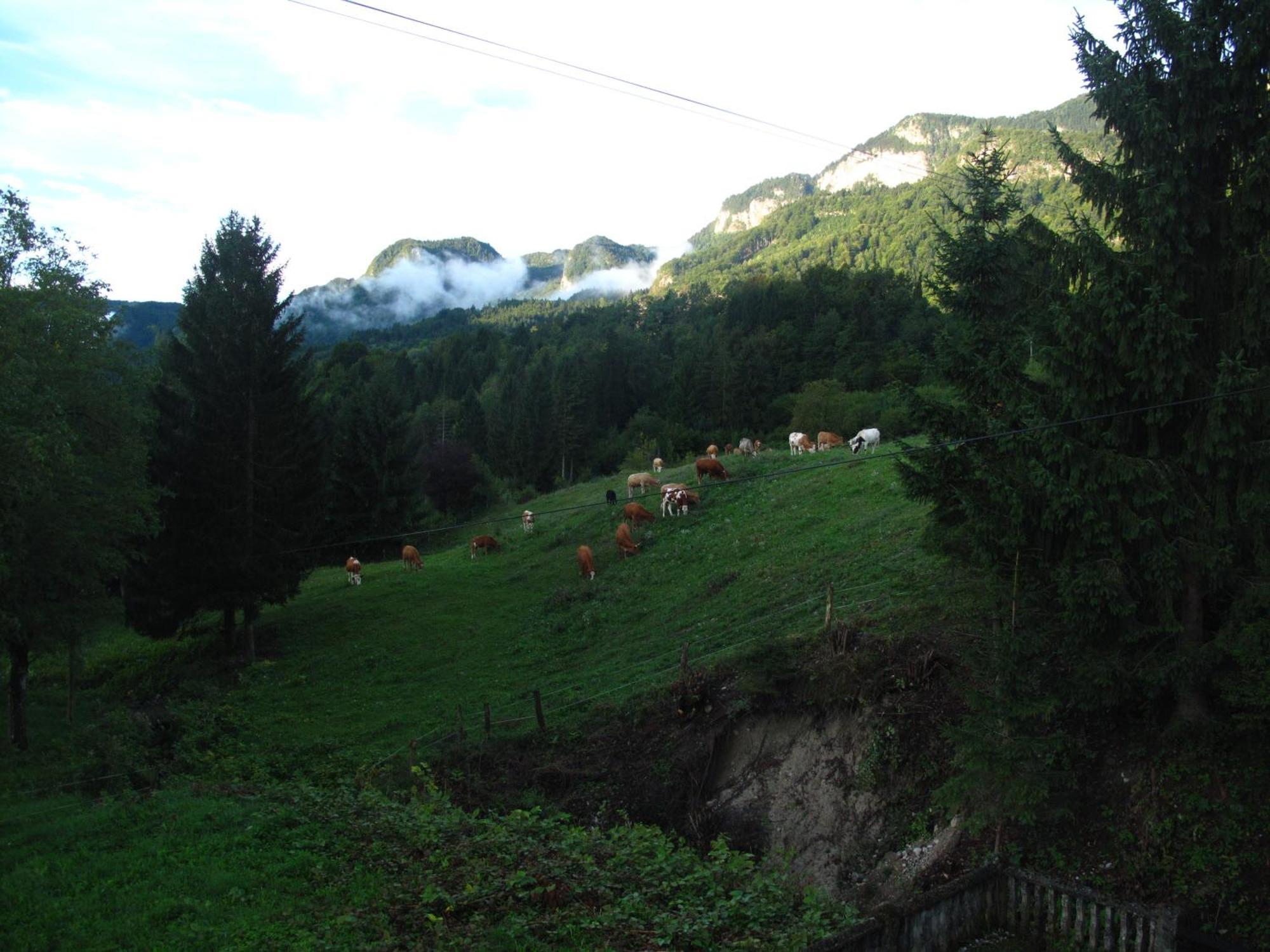 Holiday Home Bela Bohinjska Bela Ngoại thất bức ảnh